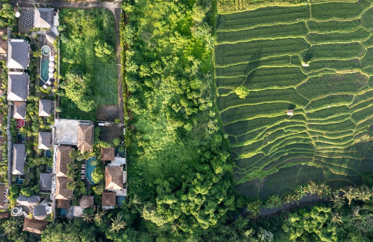 The Alena Resort A Pramana Experience Ubud Eksteriør bilde